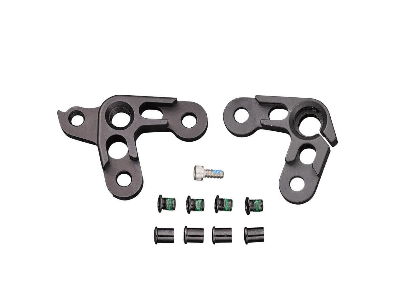 Dropout Kit V10.1 Thru Axle